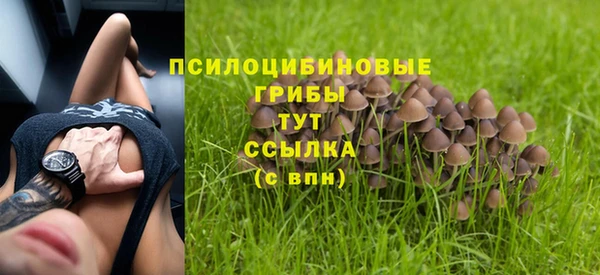 MDMA Новозыбков