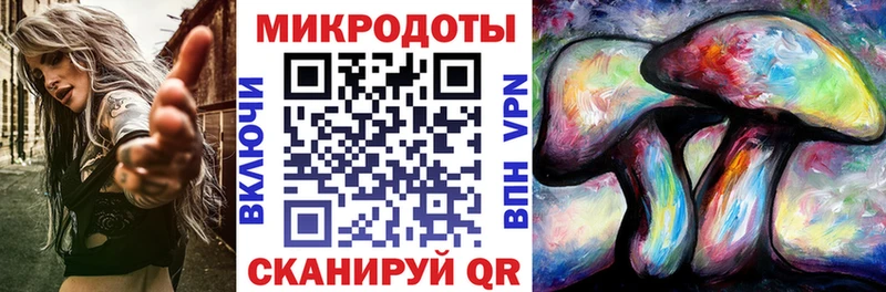 Купить закладки Киселёвск Галлюциногенные грибы Psilocybine cubensis